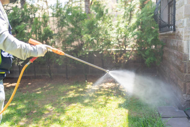 Best Residential Pest Control  in Churubusco, IN